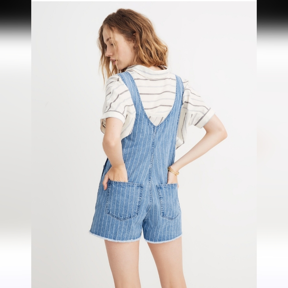 Madewell Pinyon Short Overalls in Pinstripe - Picture 2 of 13